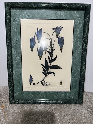 Dan Mitra Signed And Numbered Watercolor, ETCHING  SHOOTING STAR 