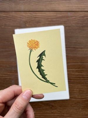 ACEO print dandelion 1 gouache Floral art, botanical art, desk art