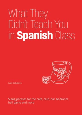 Juan Caballero | What They Didn't Teach You In Spanish Class | Taschenbuch