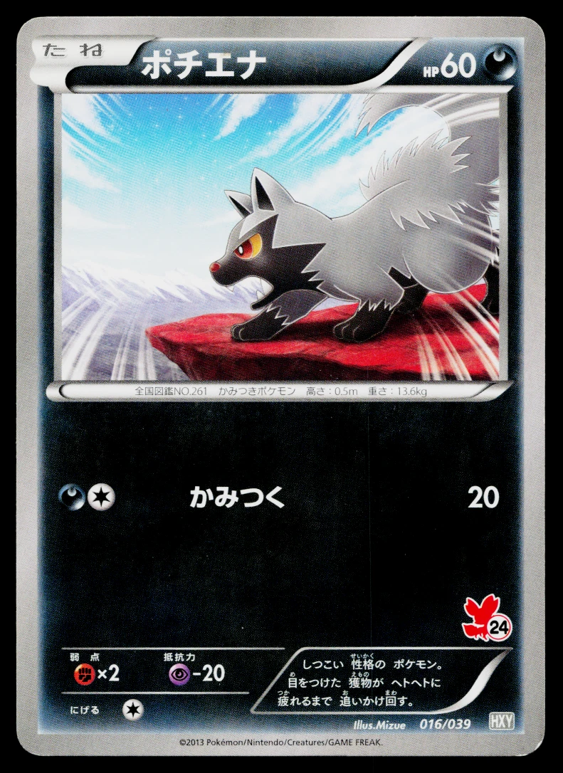 Xy Beginning Set Pokémon TCG Cards for sale | eBay