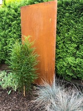 Sichtschutzwand Edelrost Corten 1250 x 570 zur Wand-, Boden-, und Erdmontage