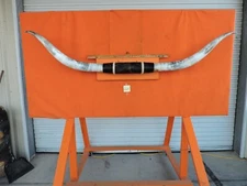 MOUNTED STEER BULL HORNS 7' 5" tip-tip  Bases 13 1/2"COW BULL HORN LONGHORN 264