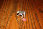 Vintage MPC Silver Moschops Dinosaur - Marx