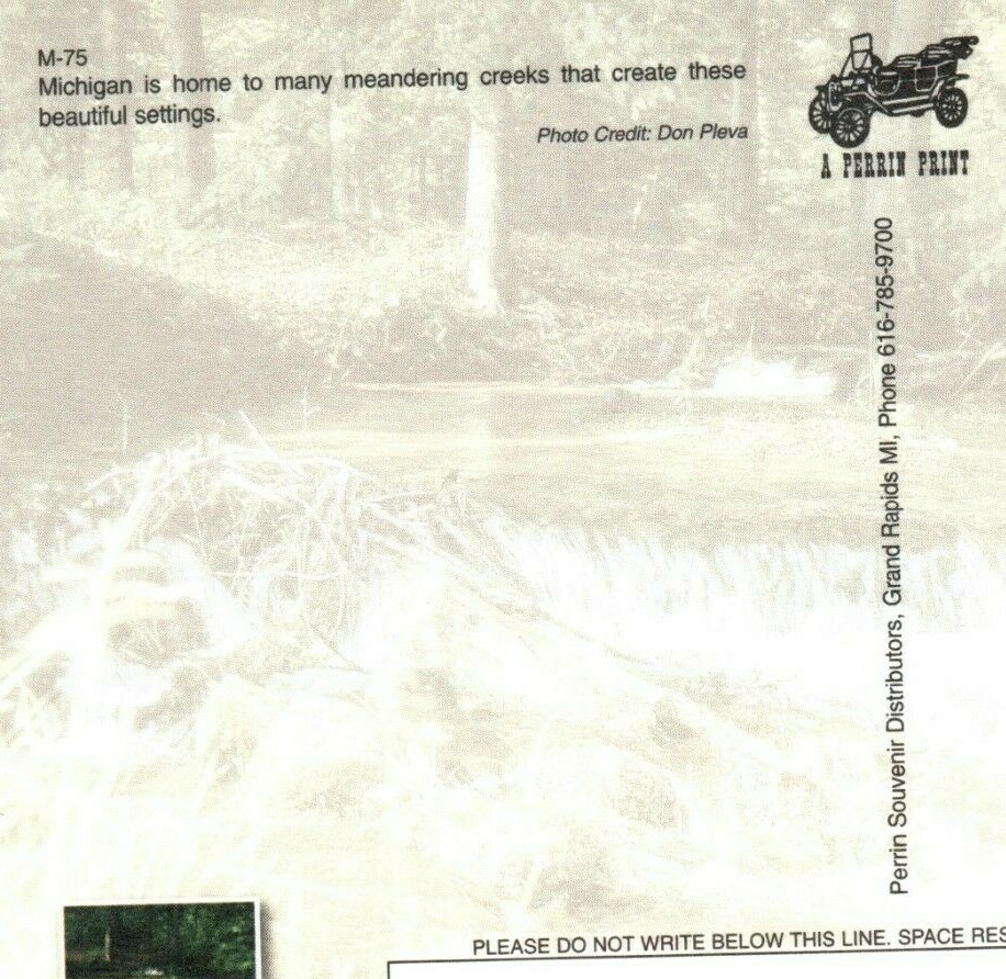 Picture 4 of 4
