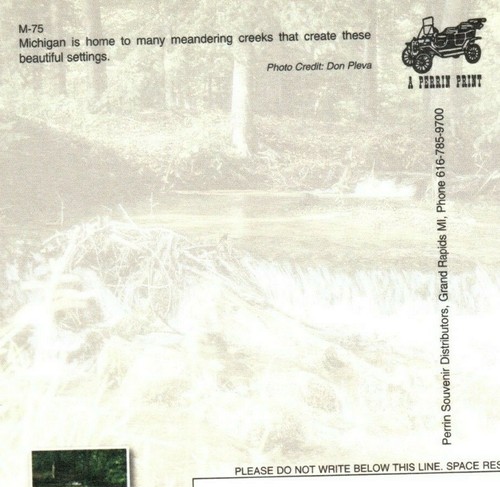 Up North Michigan River Woods Forest Creek Nature Scene Postcard - Picture 4 of 4