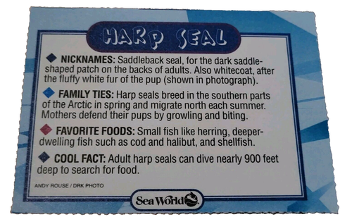 National Geographic World Sea World Trading Card Harp Seal (H7 - Picture 2 of 2