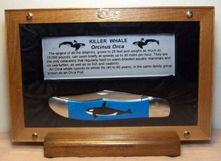 1995 CASE XX KILLER WHALE FOLDING HUNTER TURQUOISE LTD. ED. #123 POCKET KNIFE