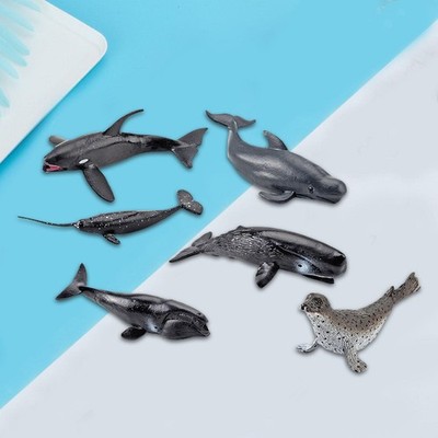 Meerestier Modell, Modell Lernspielzeug Display pädagogisches Tiermodell Geschenk