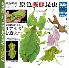 New Mimetic Insects Praying Mantis Figure Complete Set