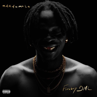 Fireboy DML Adedamola (Vinyl) 12'' Album Coloured Vinyl (UK IMPORT)