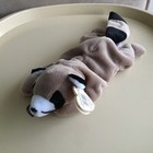 Bild 11 von 12