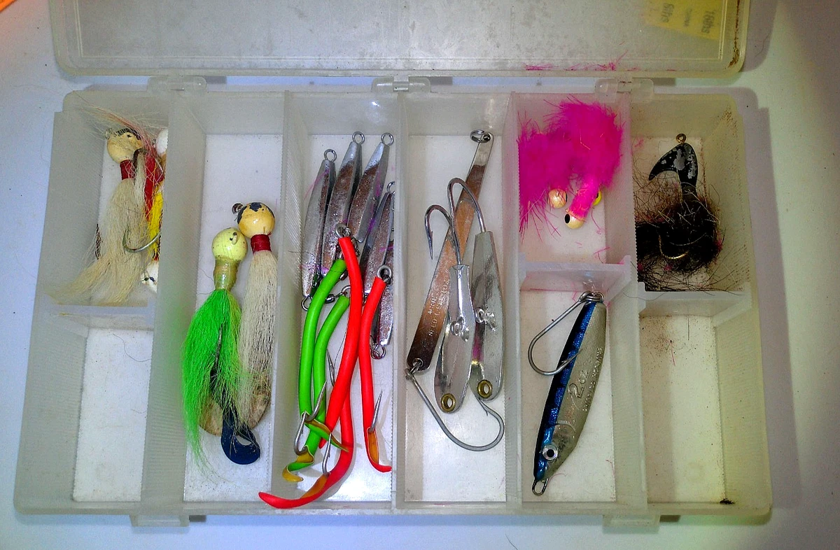 Jigging for Big Black Sea Bass - On The Water