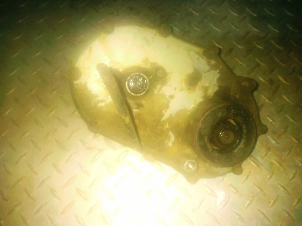 Caja de cambios de transferencia Honda Fourtrax 300 4x4 TRX300FW Foto 2 de 2