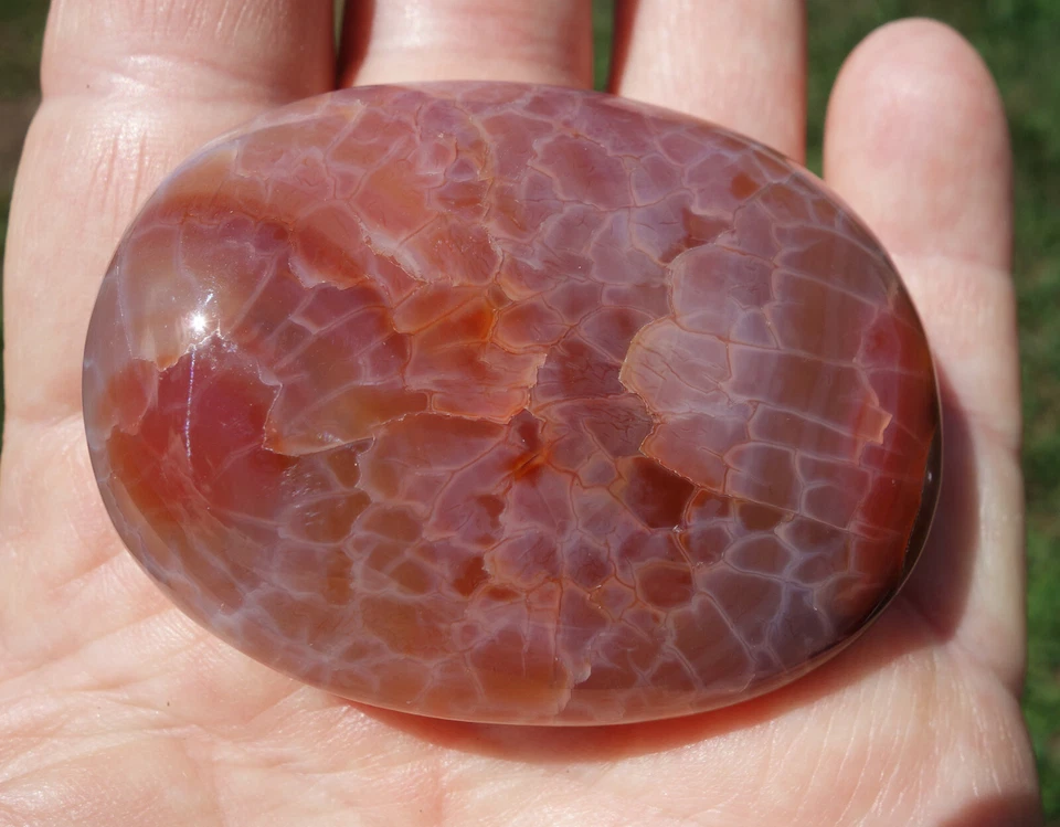 Impresionante PIEL DE SERPIENTE ÁGATA Cristal Impresionantes Colores Piedra de Palma Pulida En Venta Foto 3 de 4