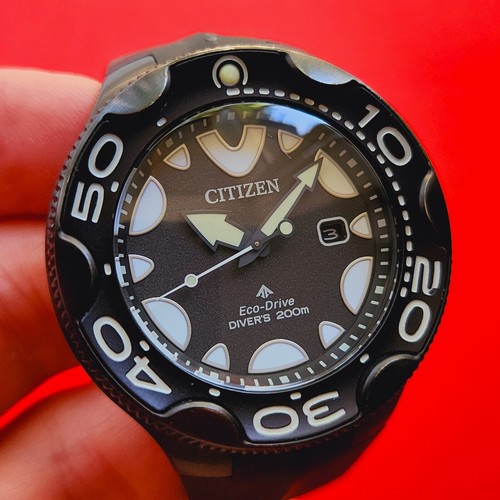 Citizen Killer Whale Dive Watch Promaster Orca Black Case Dial E168-A5WBH0