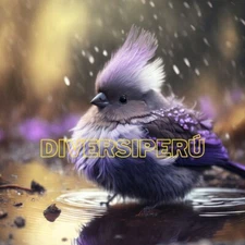 Digital Image Picture Photo Wallpaper Background Desktop Art