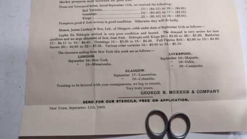 New York Apple Meeker Co Export Obst nach Europa Shen Jct Wv Obstgarten Brief 1903 - Bild 5 von 12