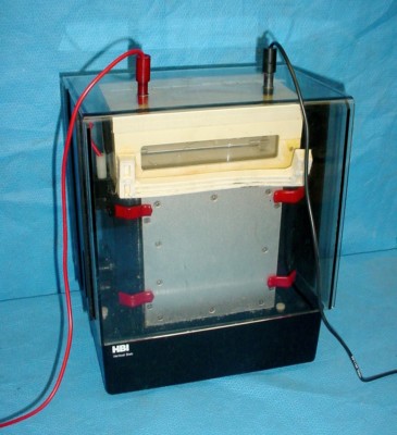 HBI Vertical Slab Electrophoresis Compact Gel Drying System w/Connection Cables