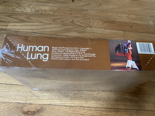 Vintage Lindberg Human Lung Plastic Model Kit New Sealed #1340 - Picture 4 of 6