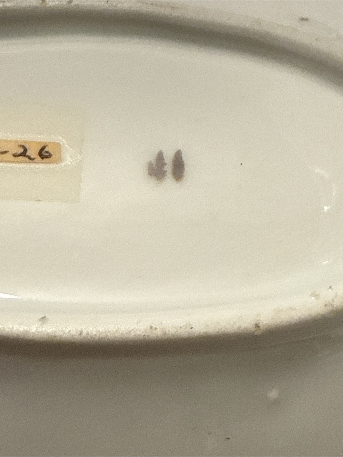 Picture 7 of 7