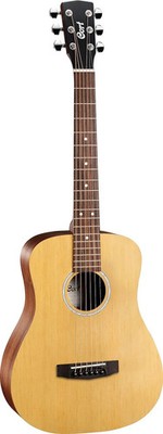 Standard ADMINI-OP W/Bag 3/4 Spruce Top Mah BandS Open Pore