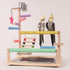 Parrot Playground Multifunction Bird Play Stand for Lovebirds Cockatoo Macaw