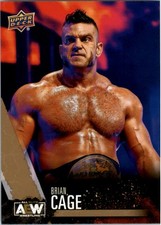 2021 Upper Deck AEW Gold #45 Brian Cage - WS