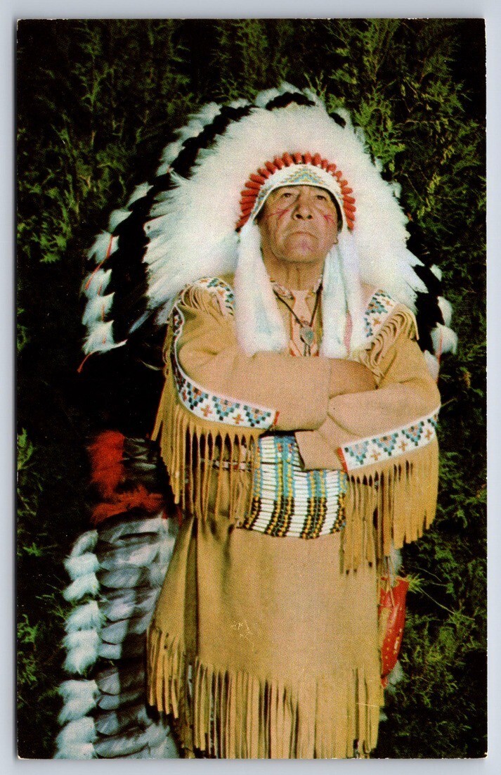 Postcard Native American Chippewa Chief Brown Eagle Unposted