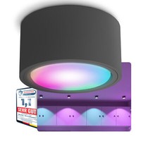 CELI-X Aufbauspot Flach Deckenspot Anthrazit Mit Wlan Smart Rgb Led Modul 230V