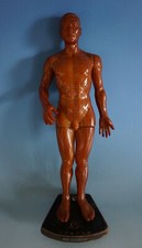 Acupuncture Model Mann Good Health Brand Japan with Meridians (0521-055)