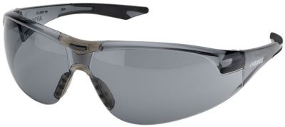 Delta Plus Avion Safety Glasses Black Temples Gray Anti-Fog Lens