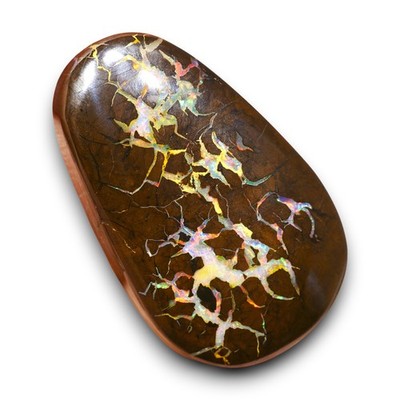 28.09 ct Multicolor Boulder Matrix Opal aus Queensland - Australien Edelstein