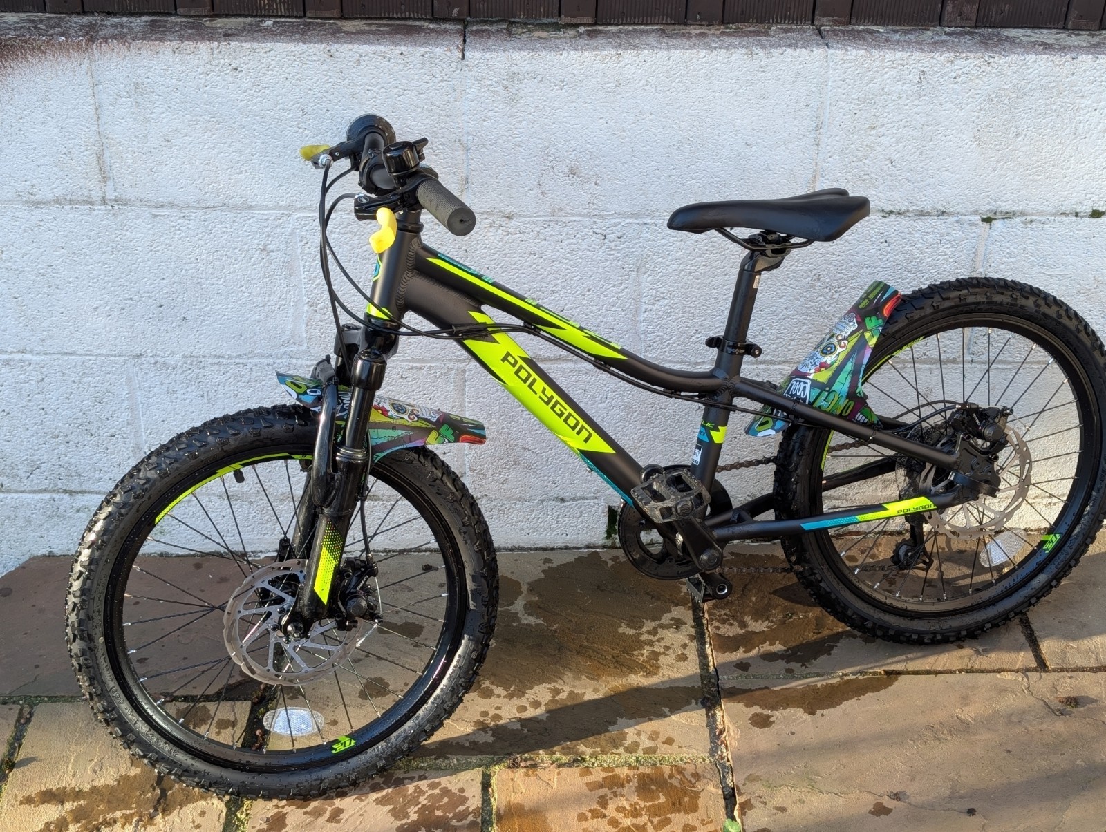 Polygon Relic 20" FS Kids Boys Unisex Hardtail Mountain Bike Alloy 10" Disc New!