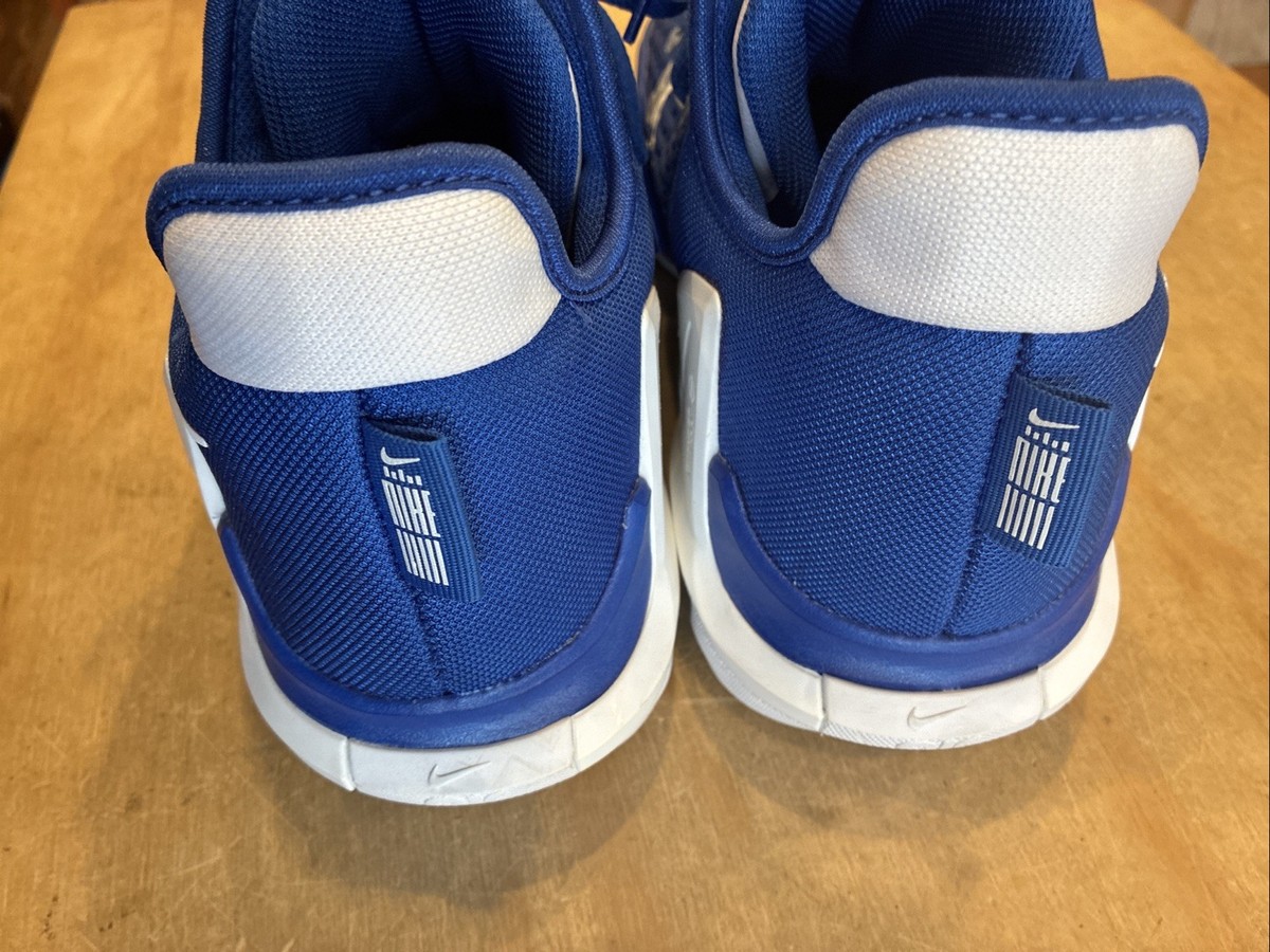 7062) Nike Lebron Witness VI TB Game Royal DO9843-401 Men