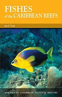 Fishes of the Caribbean Reefs Paperback Ian F. Took