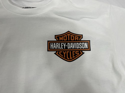 Harley Davidson Motorcycles Eagle T-Shirt, Double Sided Logo (Adult Size Large) - Picture 7 of 7