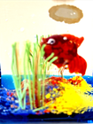 Bild 6 von 10