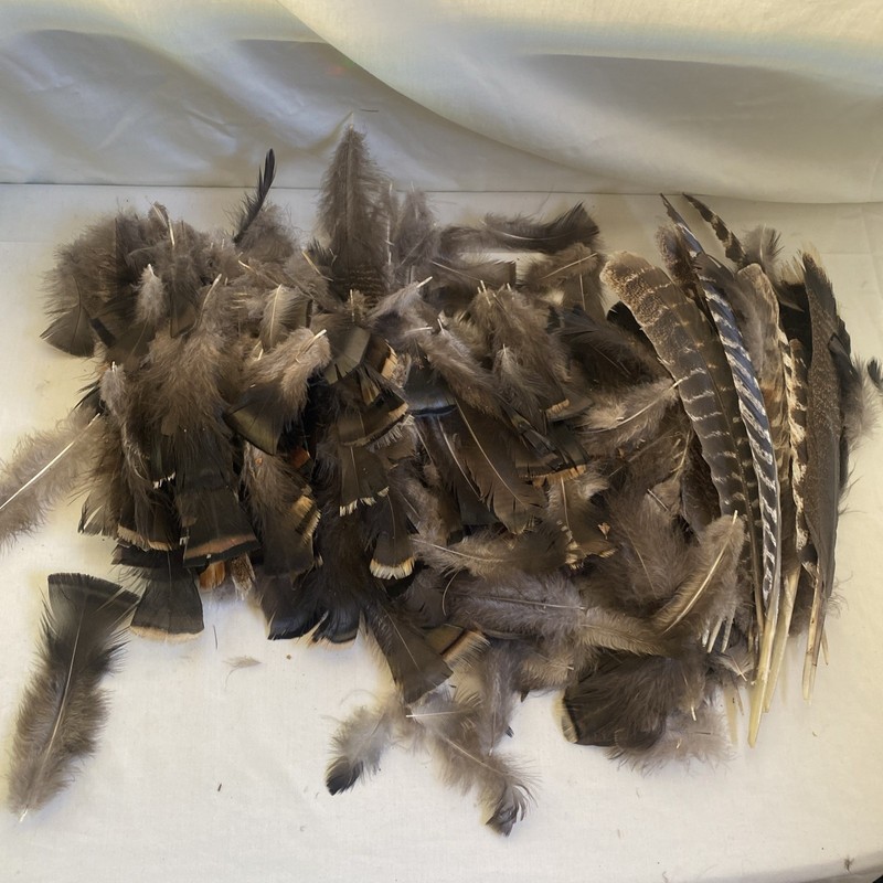Sustainably Harvested Turkey Feathers-all Sizes. Crafts, Tying Flies, Etc -Lot 4