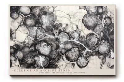 Paul Sinus Wandbild Cells of an Ancient Storm Abstract Black and White Depth of