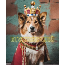 Digital Image Picture Photo Wallpaper Background Desktop Art