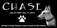Custom Pet Stone Memorial Grave Marker Granite Plaque Human headstone dog cat 65