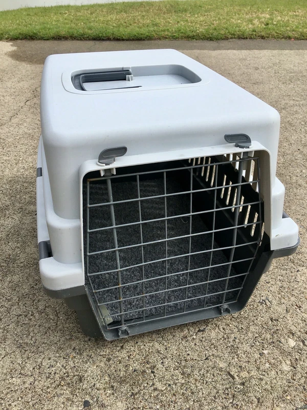 Gumtree Cat Carrier 2024 pbmlabs