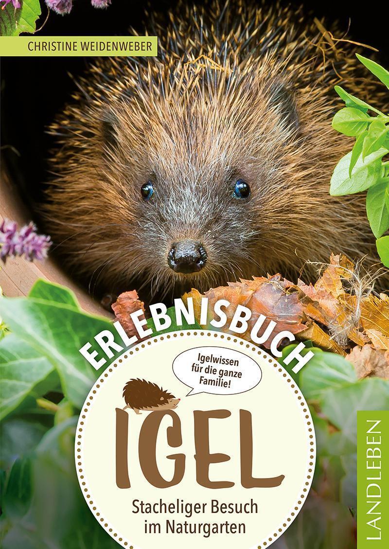 Thumbnail - Erlebnisbuch Igel Christine Weidenweber