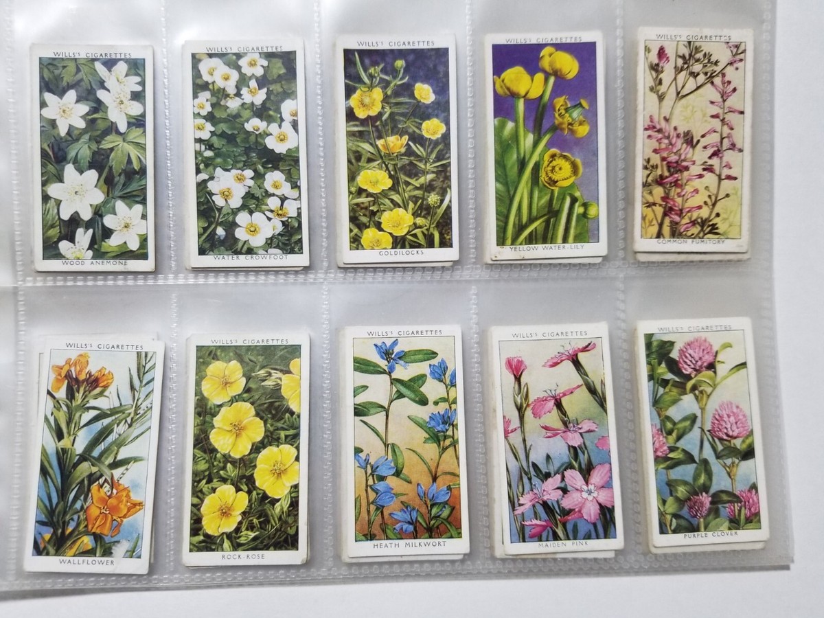 1937 WILD FLOWERS complete set of 50 