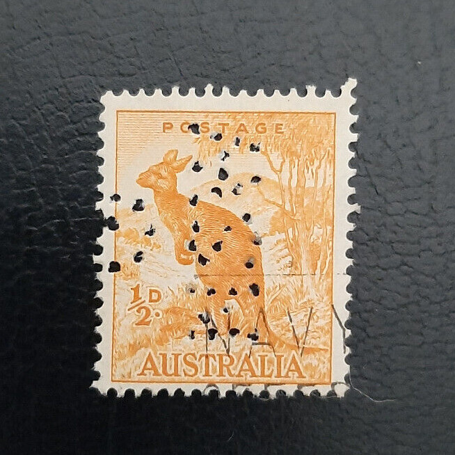 Picture 4 of 55
