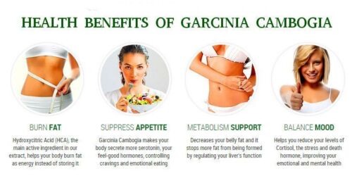 antioxidant with vitamin - GREEN COFFEE CLEANSE – GARCINIA CAMBOGIA COMBO 2B - g - Picture 7 of 12