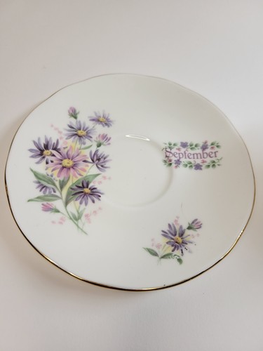 Duchess Tea Cup And Saucer English Fine Bone China " September" Aster Flower - Picture 4 of 10
