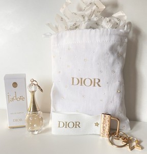 Jadore Dior Bag | eBay