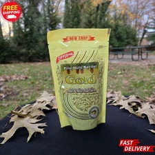 Chilghozay Pine Nuts Gold Brand Roasted Without Shell 200g Premium Pakistani