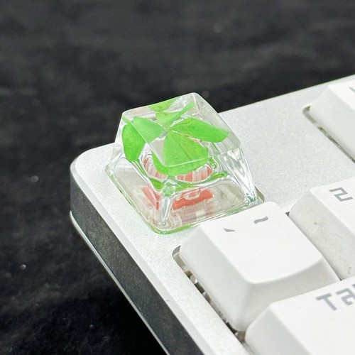 1Pcs Four-leaf Clover Resin Transparent Key Cap Universal DIY Keyboard Access-qk - Zdjęcie 9 z 10